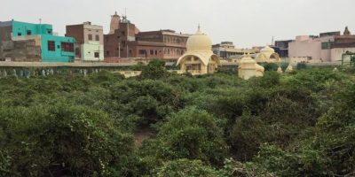 Seva-kunja, Imlitala, Lalita-kunda, Sri Radha-Damodara e Srngaravata