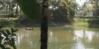 (Sri Simantadvipa) As Glórias de Sri Simantadvipa
